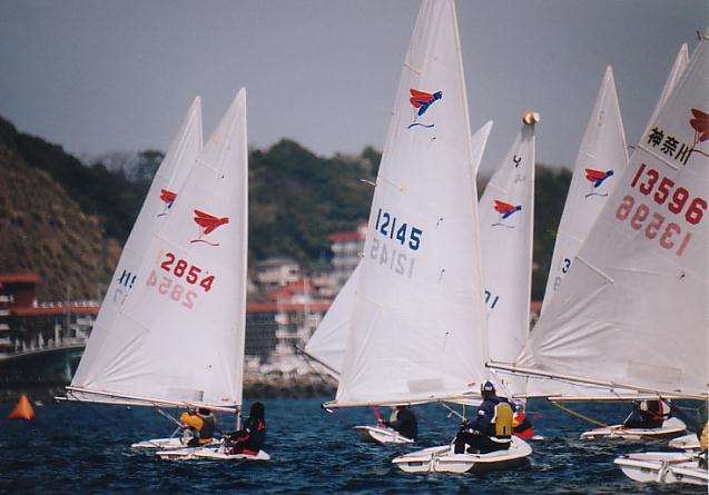 ���[�X�ʐ^